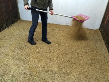easy-bedding lose